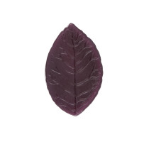 " Blumentag" Молд пластиковый FIOM- 13 1 шт 01 " Лист универсальный" 